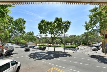 Local comercial-Local comercial-OFICINA 440 m² en C/Llorens i Barba (cas 30