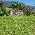 Inmueble singular-Palacete-Pazo histórico y BIC en la provincia de  49